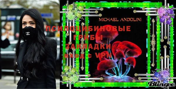 амф Снежинск