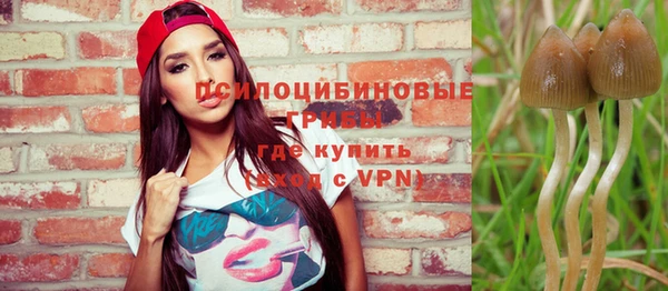 мдпв Семилуки