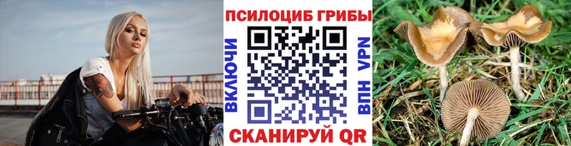 Псилоцибиновые грибы мухоморы  Купить закладки  Сухой Лог 